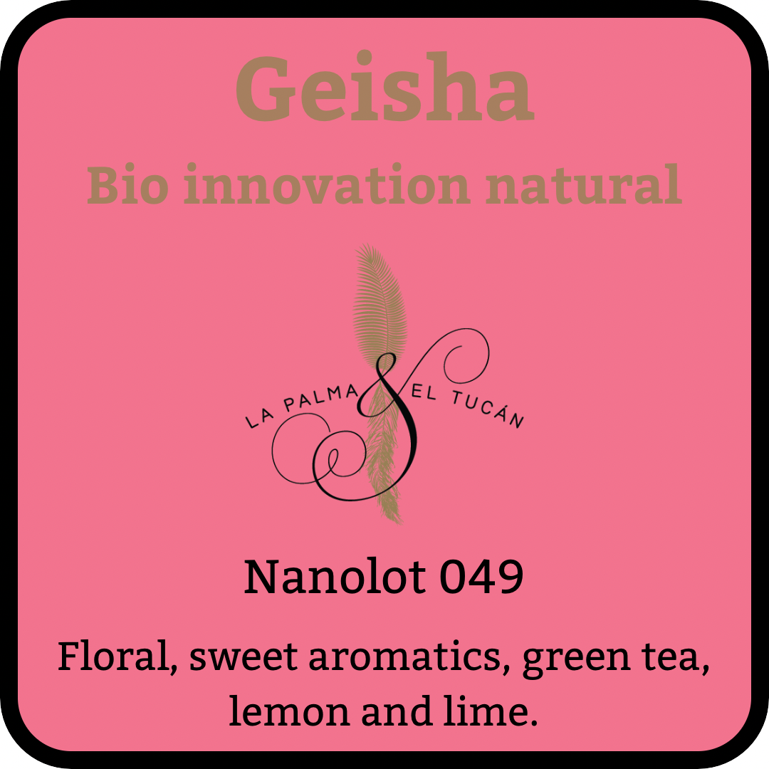 La Palma y El Tucan, Colombia, Nanolot 049. Roasted Coffee.