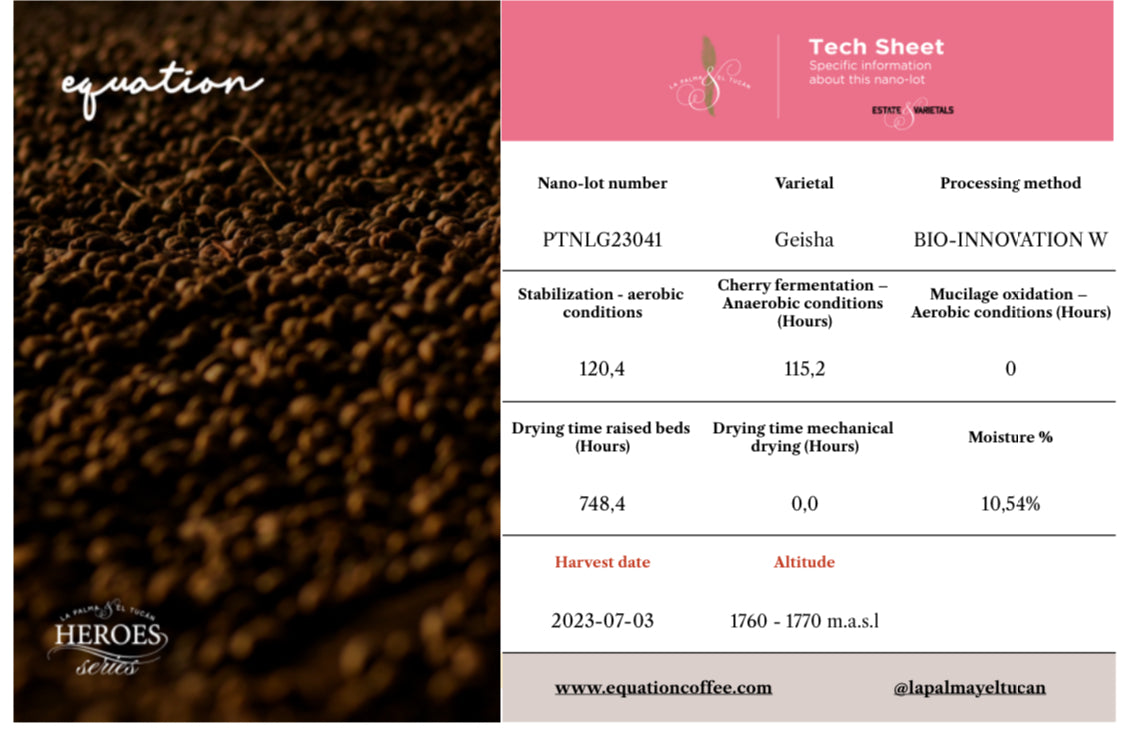 La Palma y El Tucan, Colombia, Nanolot 041. 100g - 500g Green Beans.