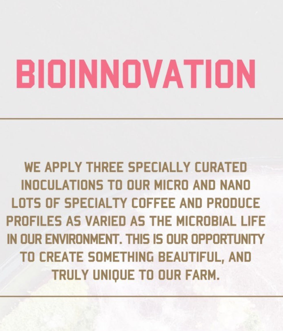 La Palma y El Tucan, Colombia, Nanolot 041. 100g - 500g Green Beans.