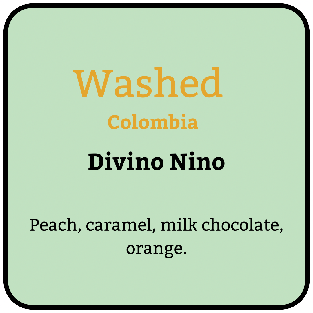 Divino Nino, Washed, Colombia. 500g Green Beans.